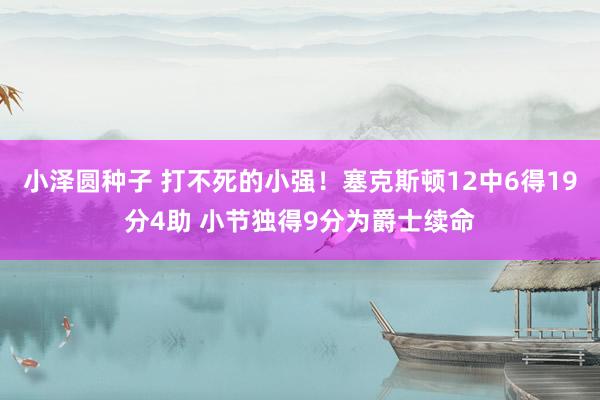 小泽圆种子 打不死的小强！塞克斯顿12中6得19分4助 小节独得9分为爵士续命