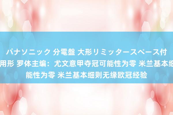 パナソニック 分電盤 大形リミッタースペース付 露出・半埋込両用形 罗体主编：尤文意甲夺冠可能性为零 米兰基本细则无缘欧冠经验