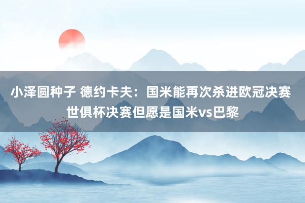 小泽圆种子 德约卡夫：国米能再次杀进欧冠决赛 世俱杯决赛但愿是国米vs巴黎